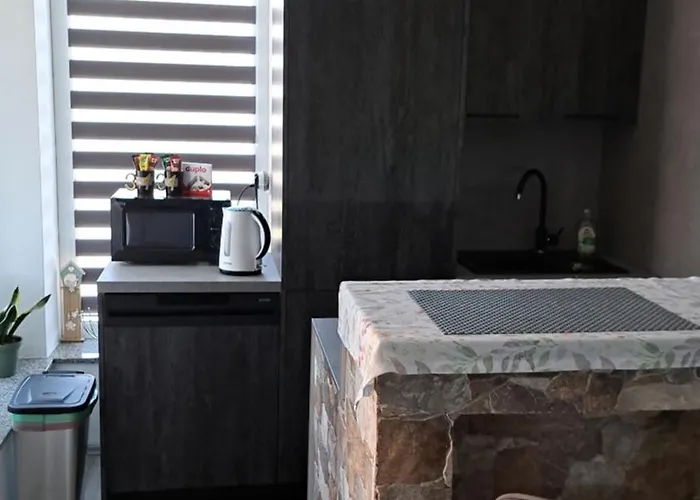 Apartment Ani *
